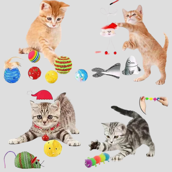 Adventní kalendář pro kočičí hračky 24 dní interaktivní odpočítávání