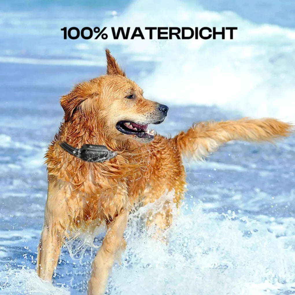 Electric Dog Training Collar with Remote Control, Waterproof, 16 Adjustable Shock Levels, 1000m Range, Beep &amp; Vibration Modes-5